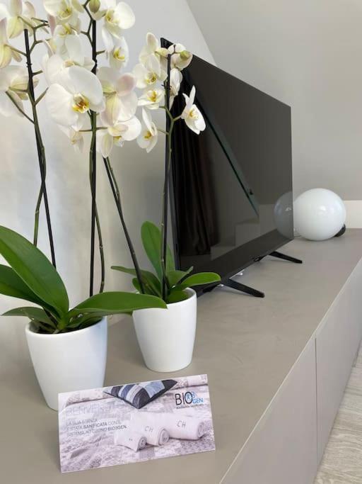 Queen Verona Luxury Apartment Bagian luar foto